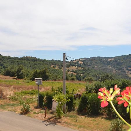 Agriturismo Masseria Castiglione Gallicchio Zewnętrze zdjęcie